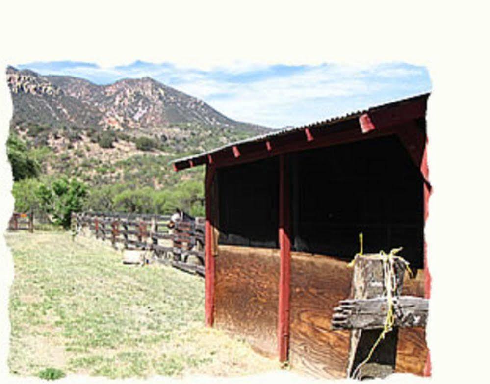 Spirit Tree Inn B&B Patagonia Екстер'єр фото